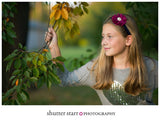 Luciana- Plum Headband