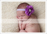 Penelope- Purple Flower with Pearl