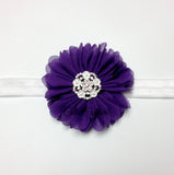 Luciana- with white flower center