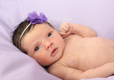Cammie- Purple Headband or Clip
