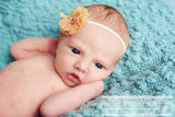 Cammie- Beige Flower Headband or Clip