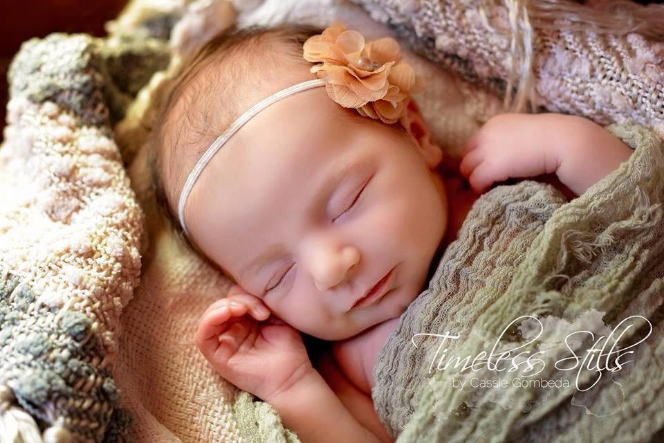 Cammie- Beige Flower Headband or Clip