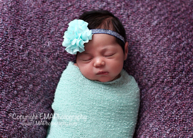 Lexi- Aqua Headband or Clip