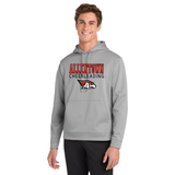 ALLENTOWN CHEER DRIFIT HOODIE