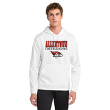 ALLENTOWN CHEER DRIFIT HOODIE